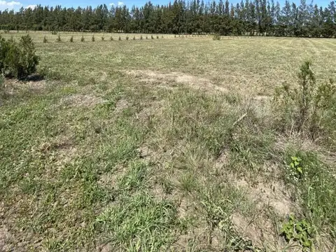 Terreno en Venta en San Pedro, USD 36.000