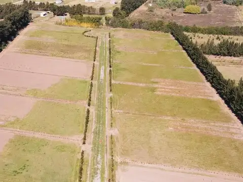 Terreno en Venta de 3000,0 m2