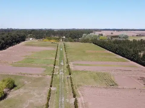 San Pedro Bs As  6900