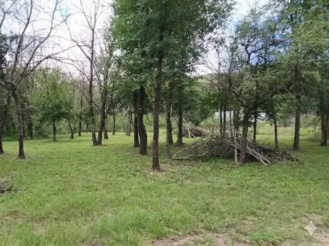 Cerro de Oro