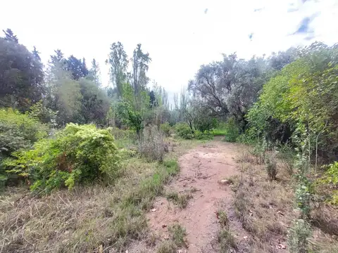 Videla Aranda 1700