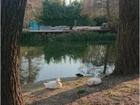 Departamento en Alquiler Temporal de 1 dormitorio