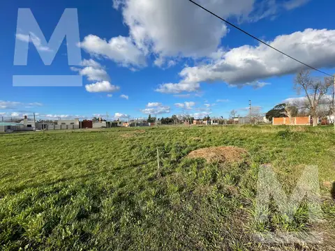 Terreno en Venta de 250,0 m2