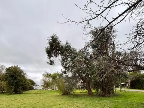 Terreno en Venta de 750,0 m2