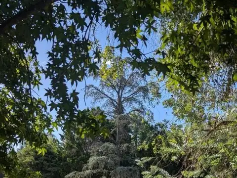 Terreno en Venta de 750,0 m2