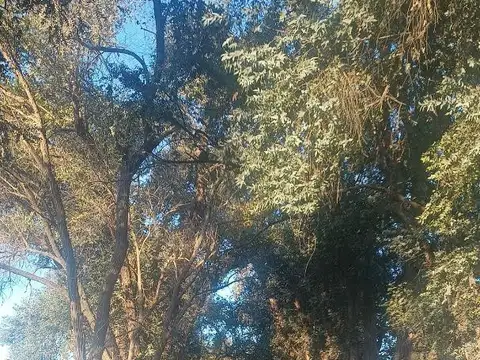 Terreno en Venta de 1500,0 m2