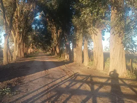 Terreno en Venta en Parada Robles, $ 12.750.000