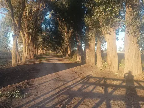 LOTES PARQUE ROBLES 2 - EXALTACION DE LA CRUZ - ANTICIPO 0%