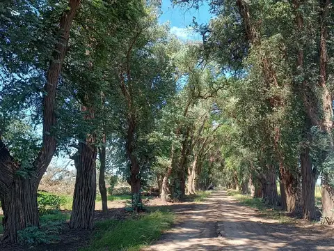 Rt 192