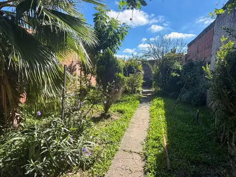 Tte Ibañez 800