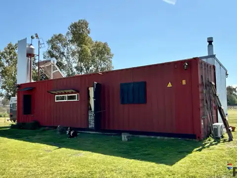 EL JILGUERO 100