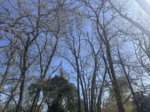 Terreno - Lote en venta en El Aromo OPORTUNIDAD 