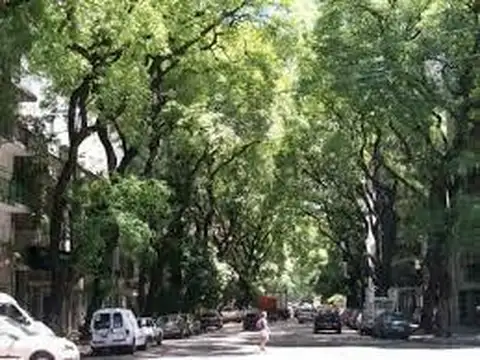 Honduras y Av Cnel Díaz