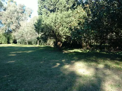 Valle de Río Negro 200