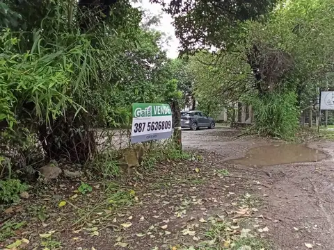 Terreno en venta Ruta 51 camino a San luis