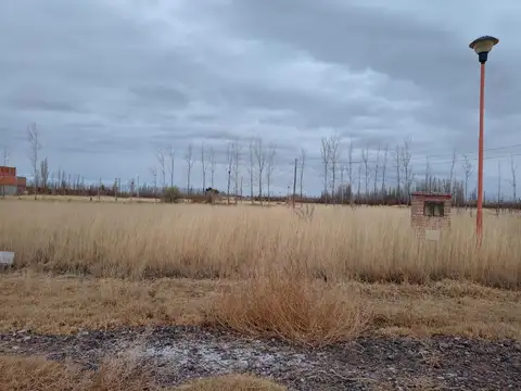 Terreno 1500m2 Ferndandez Oro Perales del Solar