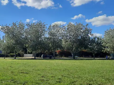 Terreno en Venta 60  mts Fondo