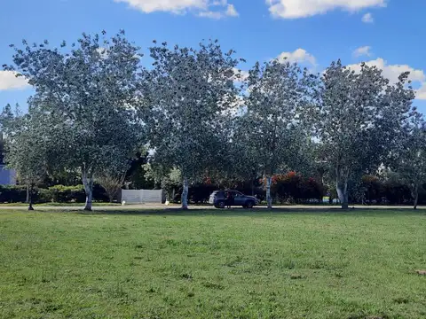 Haras del Sur I
