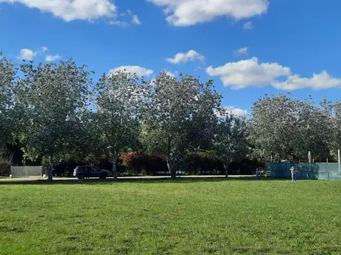 Terreno en Venta 51  mts Frente