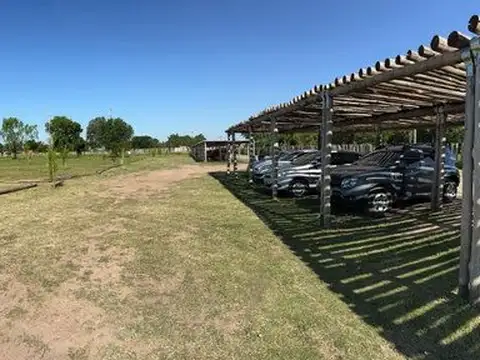 Doctor Zavalla 10100