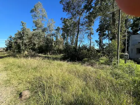 Saenz Peña Y Carranza