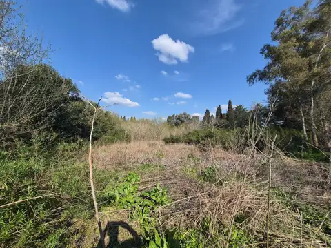 Terreno en Venta de 869307,0 m2
