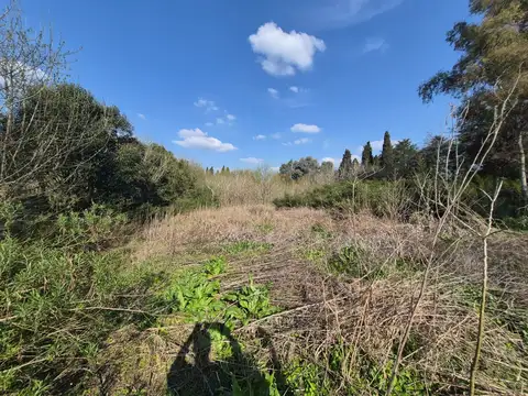 Terreno en Venta en Cañuelas, USD 200.000