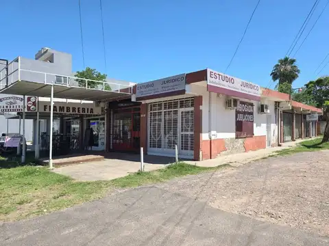 VENTA LOCAL LATERAL SOBRE PEDRO DÍAZ - V. TESEI