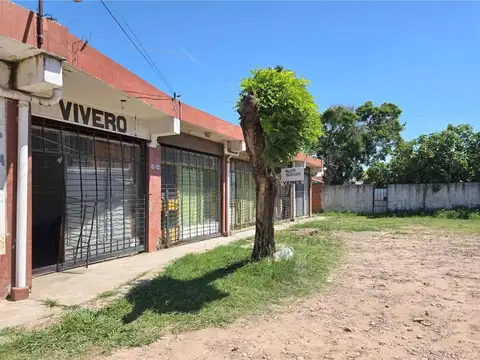 General Pedro Díaz 1200