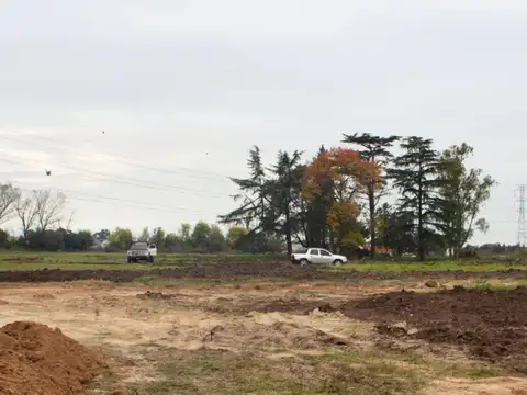 Terreno en Venta de 300,0 m2