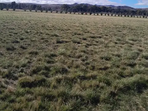 Sierra de La Ventana, las verbenas lote 98  Buenos Aires Province, Argentina