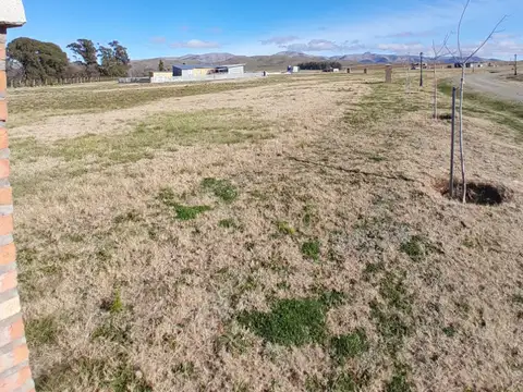 Sierra de La Ventana, las verbenas lote 98  Buenos Aires Province, Argentina