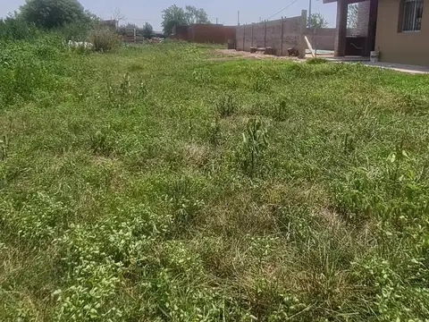 Froylan Palacios 300