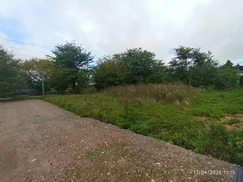 426 (12 Y 13) 1200