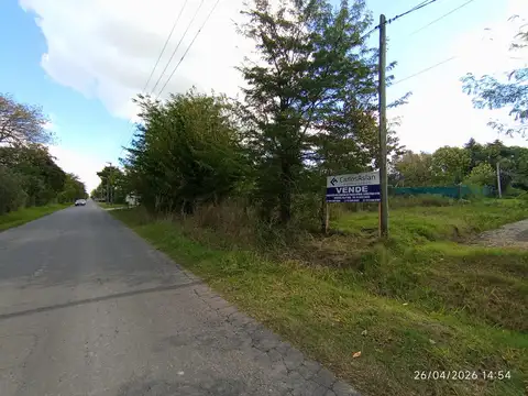 426 (12 Y 13) 1200