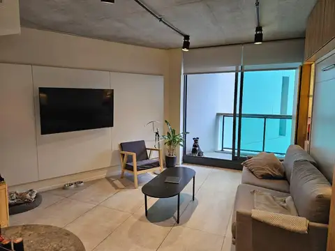 Excelente mono en Palermo Hollywood