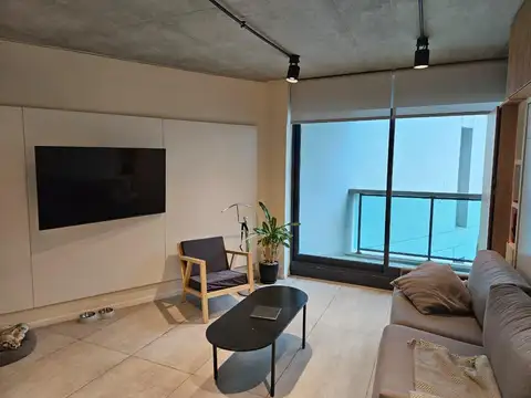 Excelente mono en Palermo Hollywood