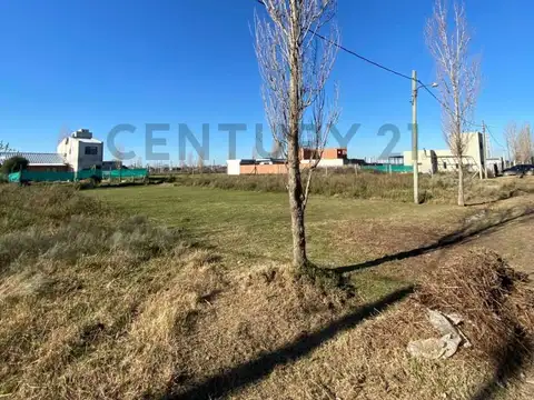 Terreno en Venta en Altos De San Lorenzo, USD 10.000