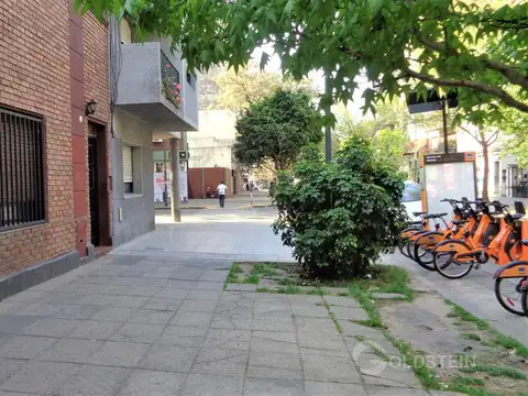 Lote | GAINZA, MARTIN al 400