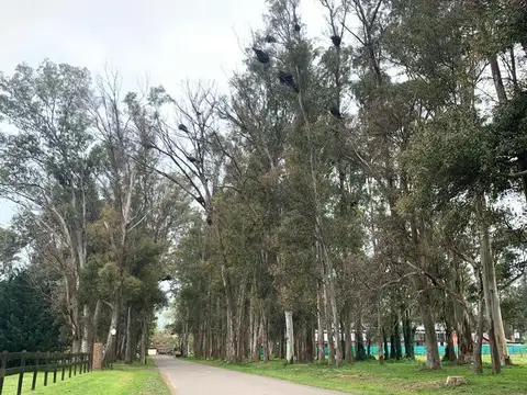 Terreno en Venta de 1602,0 m2