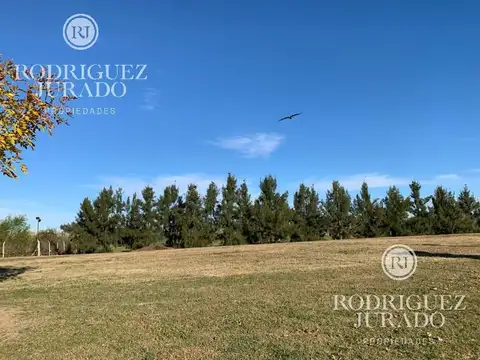 Ruta 25