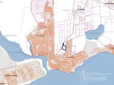 Camino de los Flamencos