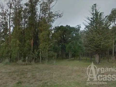 Chacra en La Barra