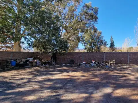Paso de los Andes, Lote 100