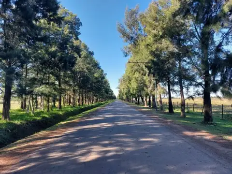 Casa 4 dorm. Haras de Funes