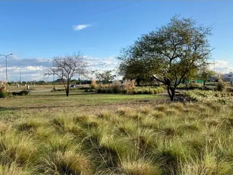 Terreno en Venta en Zona Centro, USD 23.000