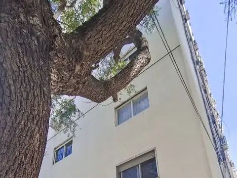 Monoambiente, Belgrano