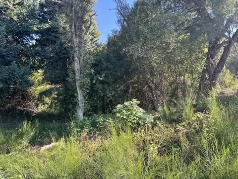 VENTA TERRENO SAN MARTIN DE LOS ANDES . BARRIO ALIHUEN ALTO