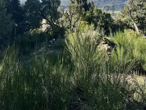 PASEO DEL PIONERO 100, Piso 0