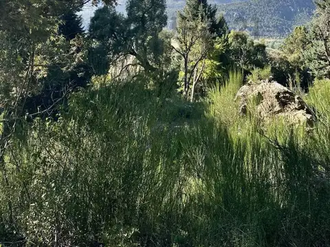 Terreno en Venta de 1135,0 m2